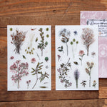LCN Print-On Stickers - Dried Flowers