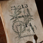 LCN Rubber Stamp Set - Dried Flowers