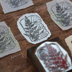 LCN Metal Stamps XIII - Fern Specimen