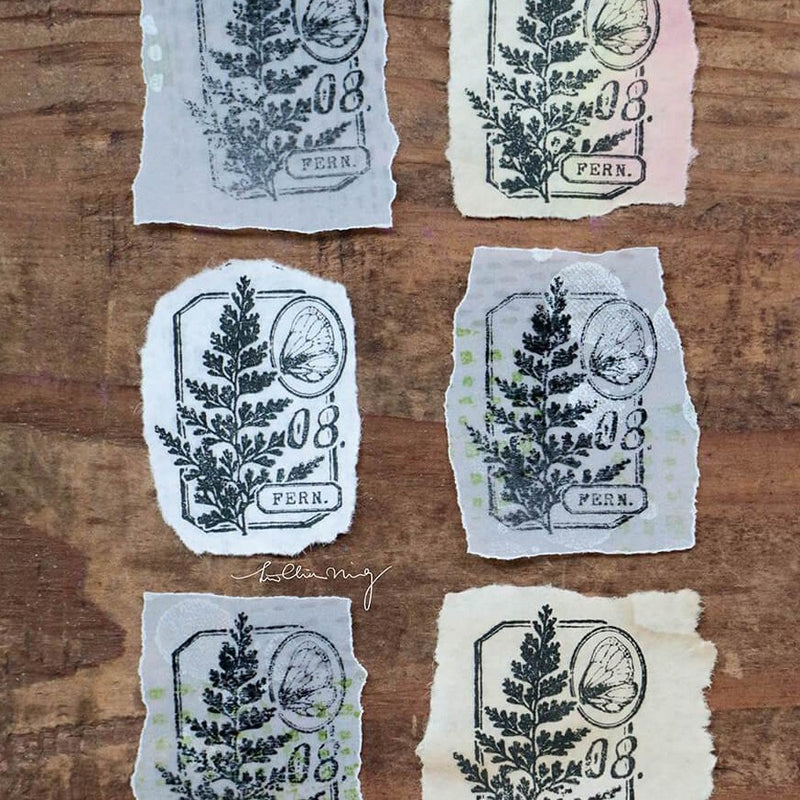 LCN Metal Stamps XIII - Fern Specimen