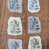 LCN Metal Stamps XIII - Fern Specimen