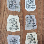 LCN Metal Stamps XIII - Fern Specimen