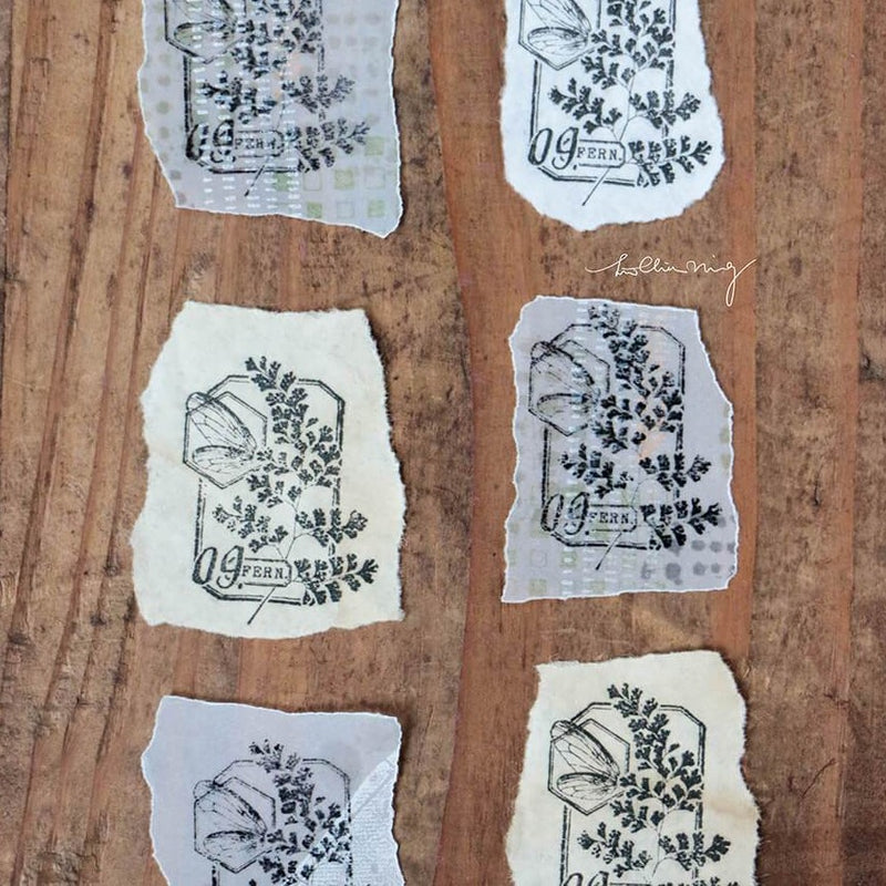 LCN Metal Stamps XIII - Fern Specimen