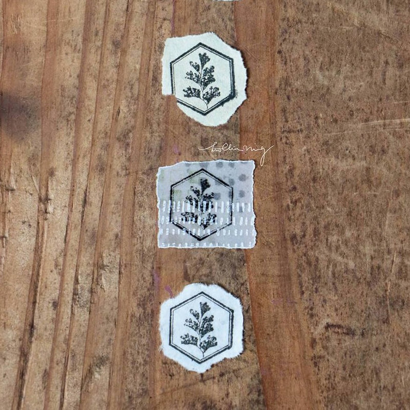 LCN Metal Stamps XIII - Fern Specimen