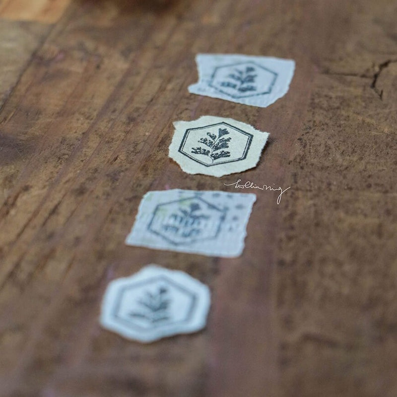 LCN Metal Stamps XIII - Fern Specimen