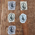 LCN Metal Stamps XIII - Fern Specimen
