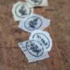 LCN Metal Stamps XIII - Fern Specimen