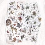 MU Print-On Sticker - Watercolour Illustration Series III