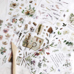MU Print-On Sticker - Botanical Series XI