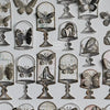 LCN Mounted Rubber Stamp - Specimen Display
