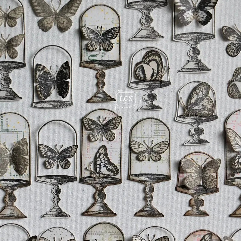 LCN Mounted Rubber Stamp - Specimen Display