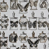 LCN Mounted Rubber Stamp - Specimen Display