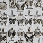 LCN Mounted Rubber Stamp - Specimen Display