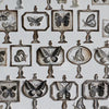 LCN Mounted Rubber Stamp - Specimen Display