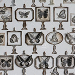 LCN Mounted Rubber Stamp - Specimen Display