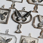 LCN Mounted Rubber Stamp - Specimen Display