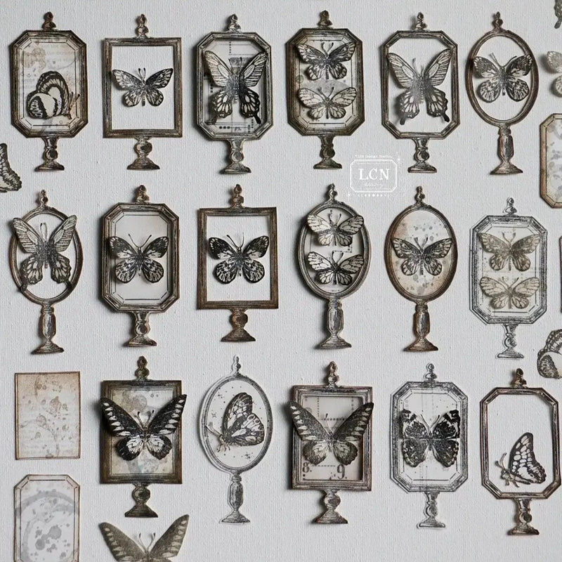 LCN Mounted Rubber Stamp - Specimen Display