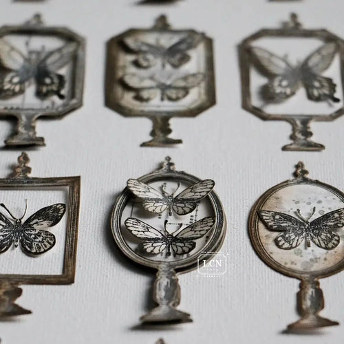 LCN Mounted Rubber Stamp - Specimen Display