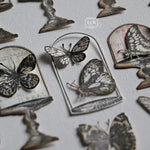 LCN Mounted Rubber Stamp - Specimen Display