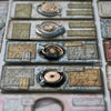 LCN Mounted Rubber Stamp - Specimen Display