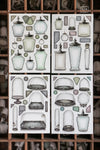 LCN Sticker Set - Specimen Display Sticker Set