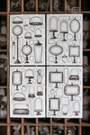 LCN Sticker Set - Specimen Display Sticker Set