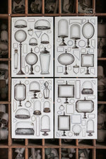LCN Sticker Set - Specimen Display Sticker Set