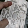 LCN Sticker Set - Specimen Display Sticker Set