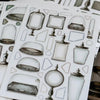 LCN Sticker Set - Specimen Display Sticker Set