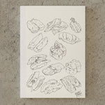 MD Notebook 15th Anniversary Artist Collaboration - A6 Blank