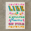 MD Notebook 15th Anniversary Artist Collaboration - A6 Blank