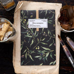 OURS Sticker Pack - Olea europaea (Olive)