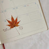 Season Postmark Rubber Stamp - 春夏秋冬 (four seasons)