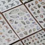 LCN Sticker Set - Butterfly Washi