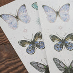 LCN Sticker Set - Butterfly Washi