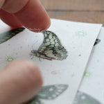 LCN Sticker Set - Butterfly Washi