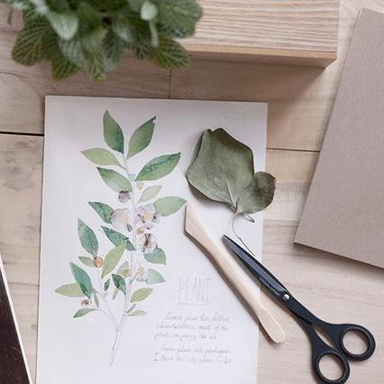 MU Print-On Sticker - Botanical Series