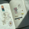 Pion: Embossing PET Tape