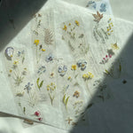 Pion: Embossing PET Tape
