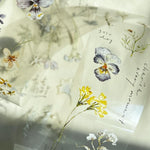 Pion: Embossing PET Tape