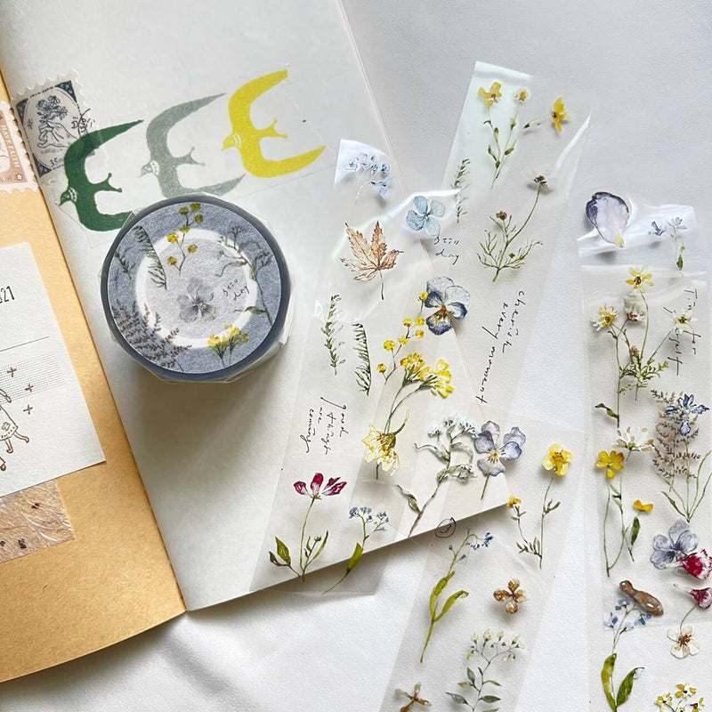 Pion: Embossing PET Tape