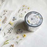 Pion: Embossing PET Tape