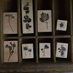 som studio Rubber Stamp: Flower Shadow Series