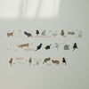 FStudio PET Tape - Little Cats