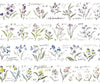 Meow Illustration Washi Tape - Garden Journals