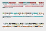 Chamil Garden 8mm Washi Tape Set - Colours of Seasons