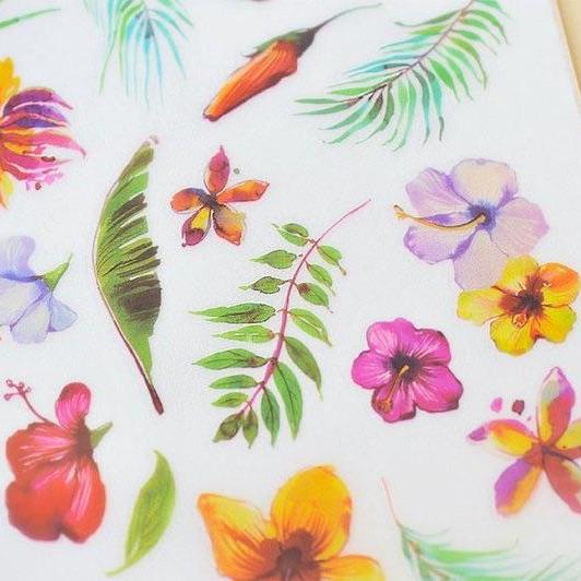 MU Print-On Sticker - Botanical Series IV