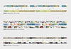 Chamil Garden 8mm Washi Tape Set - Colours of Seasons