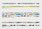 Chamil Garden 8mm Washi Tape Set - Colours of Seasons