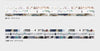 Chamil Garden 8mm Washi Tape Set - Colours of Seasons